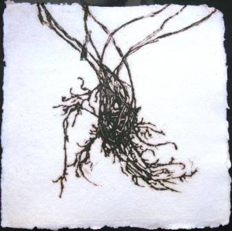χαλκογραφία σε cotton rag 